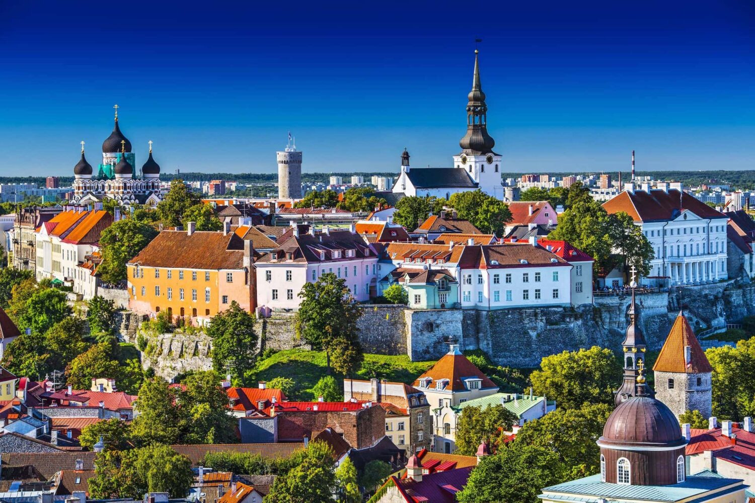 Discover Tallinn & Estonia: A Nordic Blend of Innovation, Nature and Culture